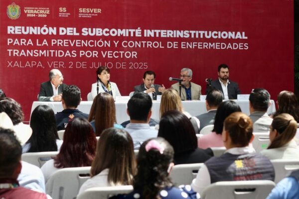 Casos de dengue en Veracruz bajan a menos de la mitad respecto al año pasado