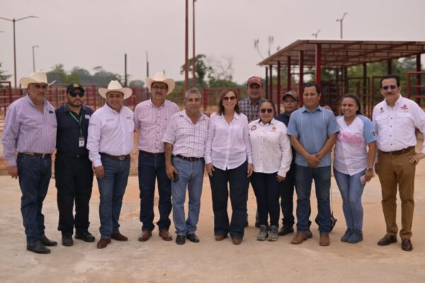 Camionetitas de sanidad animal parte de la estrategia de prevención y combate al gusano barrenador en Veracruz: Rocío Nahle